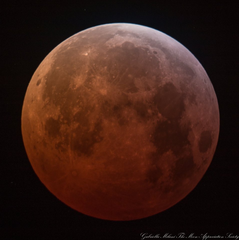 This morning's Lunar Eclipse 1 - Gabriella Milani 